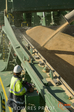 July 2015 / SHIP_LOADING_WALLAROO_030_150724