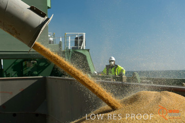 July 2015 / SHIP_LOADING_WALLAROO_039_150724