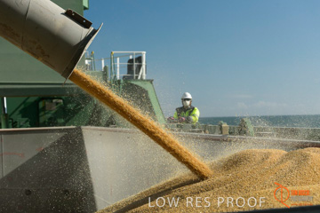 July 2015 / SHIP_LOADING_WALLAROO_042_150724