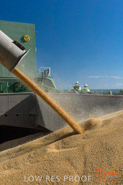 July 2015 / SHIP_LOADING_WALLAROO_052_150724