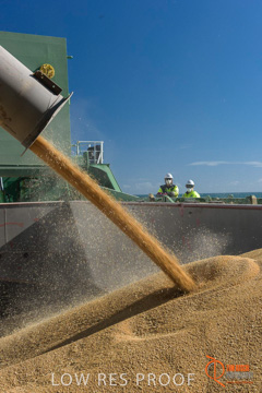 July 2015 / SHIP_LOADING_WALLAROO_053_150724
