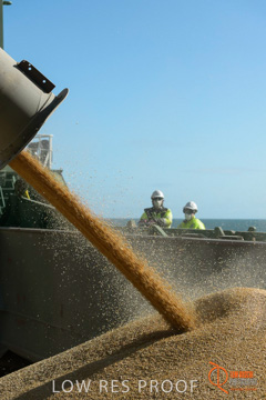 July 2015 / SHIP_LOADING_WALLAROO_056_150724