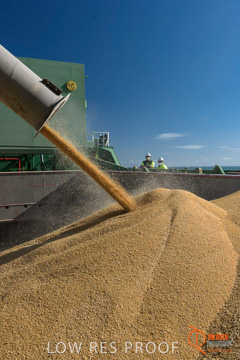 July 2015 / SHIP_LOADING_WALLAROO_068_150724