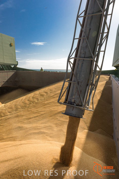 July 2015 / SHIP_LOADING_WALLAROO_072_150724