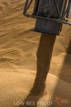 July 2015 / SHIP_LOADING_WALLAROO_074_150724