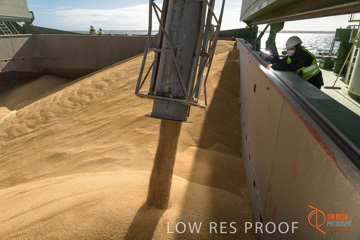 July 2015 / SHIP_LOADING_WALLAROO_077_150724