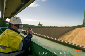 July 2015 / SHIP_LOADING_WALLAROO_080_150724