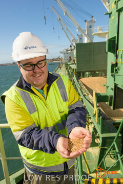 July 2015 / SHIP_LOADING_WALLAROO_100_150724