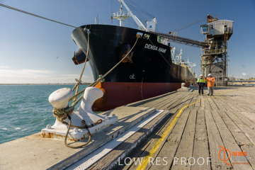 July 2015 / SHIP_LOADING_WALLAROO_106_150724