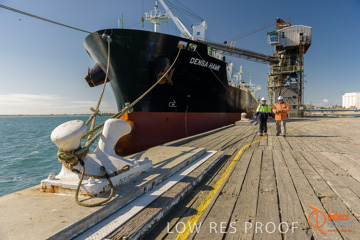 July 2015 / SHIP_LOADING_WALLAROO_107_150724
