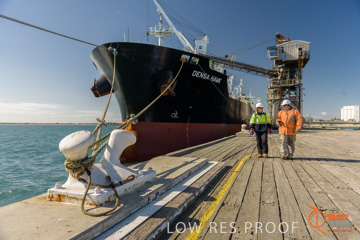July 2015 / SHIP_LOADING_WALLAROO_108_150724