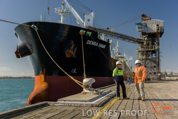 July 2015 / SHIP_LOADING_WALLAROO_113_150724