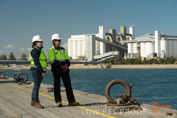 July 2015 / SHIP_LOADING_WALLAROO_141_150724