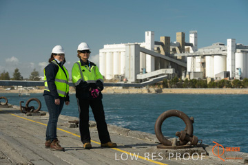 July 2015 / SHIP_LOADING_WALLAROO_142_150724
