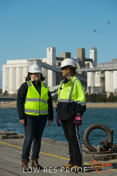 July 2015 / SHIP_LOADING_WALLAROO_143_150724