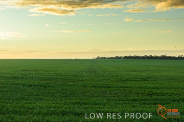 July 2015 / YOUNG_CROP_027_150724