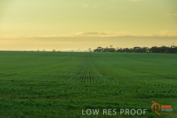 July 2015 / YOUNG_CROP_029_150724