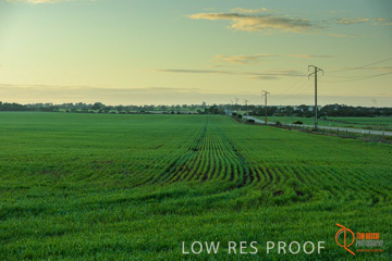 July 2015 / YOUNG_CROP_030_150724