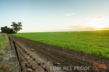 July 2015 / YOUNG_CROP_035_150724