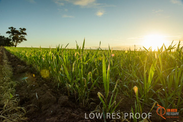 July 2015 / YOUNG_CROP_105_150724