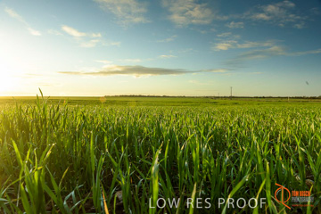 July 2015 / YOUNG_CROP_114_150724