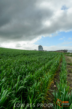 August 2015 / ROBERTS_AP_003_150805