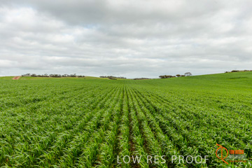 August 2015 / ROBERTS_AP_177_150805