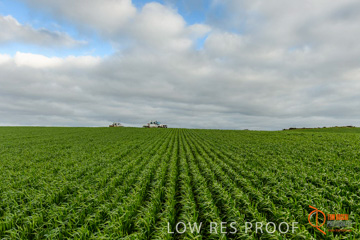 August 2015 / ROBERTS_AP_179_150805