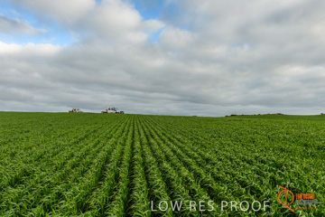 August 2015 / ROBERTS_AP_180_150805