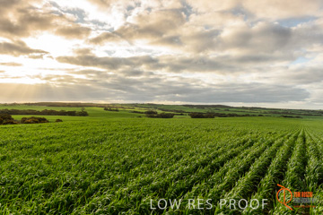 August 2015 / ROBERTS_AP_202_150805