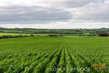 August 2015 / ROBERTS_AP_208_150805