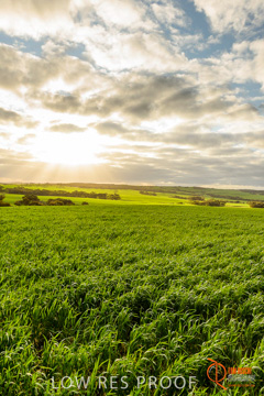 August 2015 / ROBERTS_AP_211_150805