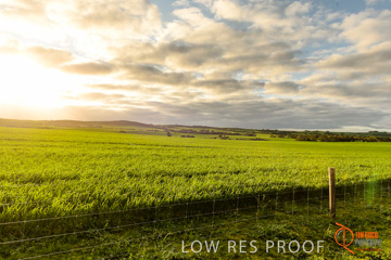 August 2015 / ROBERTS_AP_217_150805