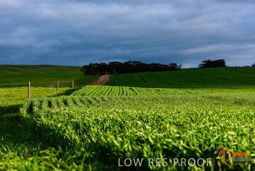 August 2015 / ROBERTS_AP_234_150805