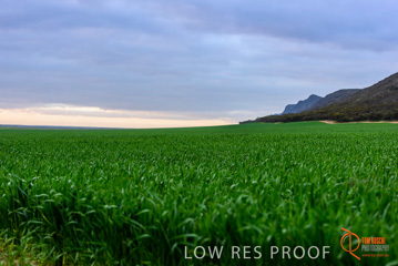 August 2015 / ROBERTS_AP_242_150805