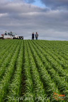 August 2015 / GLENCORE_016_150805