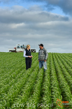 August 2015 / GLENCORE_027_150805