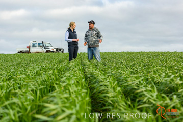 August 2015 / GLENCORE_035_150805