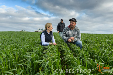 August 2015 / GLENCORE_057_150805