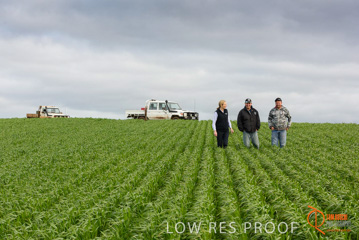 August 2015 / GLENCORE_064_150805