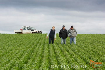 August 2015 / GLENCORE_067_150805