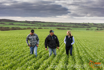 August 2015 / ROBERTS_AP_196_150805