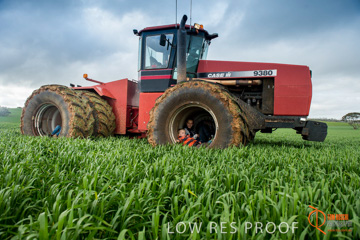 August 2015 / ROBERTS_AP_148_150805