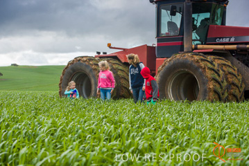 August 2015 / ROBERTS_AP_168_150805