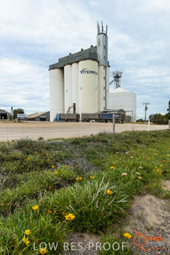 VITERRA / ARNO_BAY_0030_(160420)