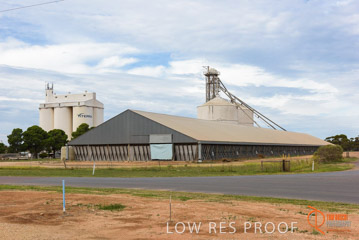VITERRA / COWELL_0001_(160420)