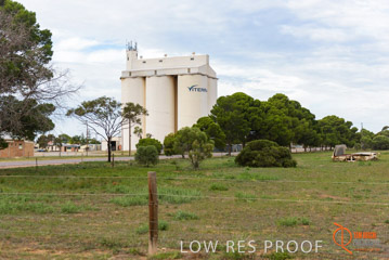 VITERRA / COWELL_0013_(160420)