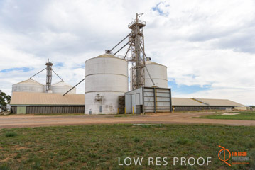 VITERRA / COWELL_0017_(160420)