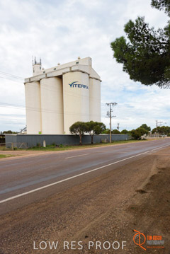 VITERRA / COWELL_0024_(160420)
