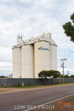 VITERRA / COWELL_0027_(160420)